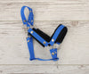 Stock Whip Halfter - Blue With Black Furry
