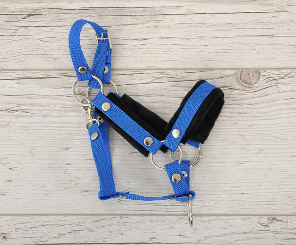 Stock Whip Halfter - Blue With Black Furry