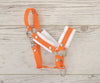 Stickpferdhalfter - Orange With White Furry