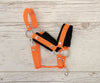 Halfter für Steckenpferd – Orange mit schwarzem Fell