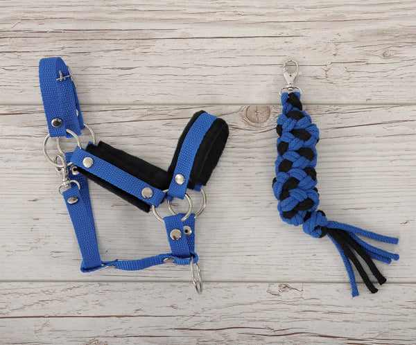 Blaues Hobby Horse Halfter und Führleine A3
