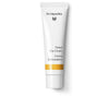 Dr. Hauschka Kasvojen päivävoide rusketuksella, väri, 30 ml | Vuodevaatteet.fi