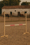 Steckenpferd-Hindernis 120cm - Beam pink