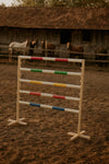 Steckenpferd-Hindernis 120cm mit zwei Stangen - Pink und Blau