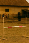 Steckenpferd-Hindernis 160cm - Beam pink