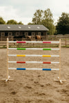 Steckenpferd Hindernis 160cm mit zwei Stangen - Pink und Blau
