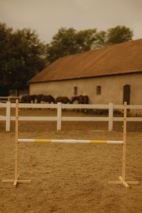 Steckenpferd-Hindernis 160cm – Beam yellow