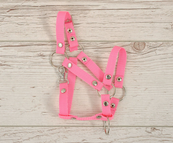Steckenpferd Geschirre A3 - Rosa