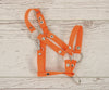 Steckenpferd-Gurt A3 – Orange