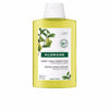 Klorane A la cidra kevyt shampoo normaalille/rasvoittuvalle hiuksille 200 ml | Vuodevaatteet.fi