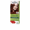 Palette natural väri #6.88-intensiivinen punainen 1 kpl | Vuodevaatteet.fi