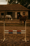 Steckenpferd-Hindernis 120 cm mit zwei Stangen – Rot und Blau