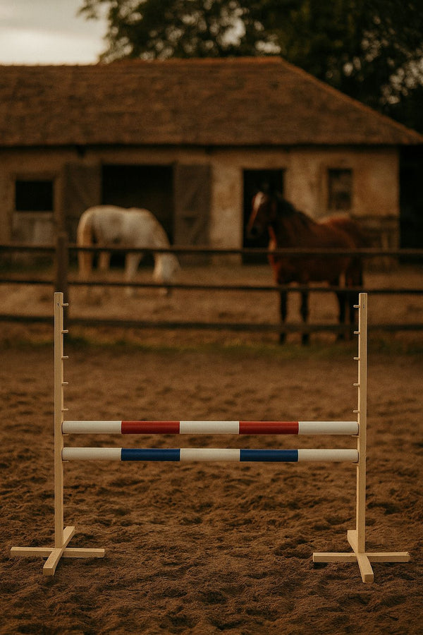 Steckenpferd-Hindernis 120 cm mit zwei Stangen – Rot und Blau
