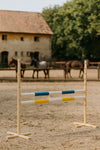 Steckenpferd Hindernis 120cm mit zwei Stangen - Blau und Gelb