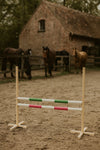 Hobby Horsing Hindernis 120cm mit zwei Stangen - Grün und Pink