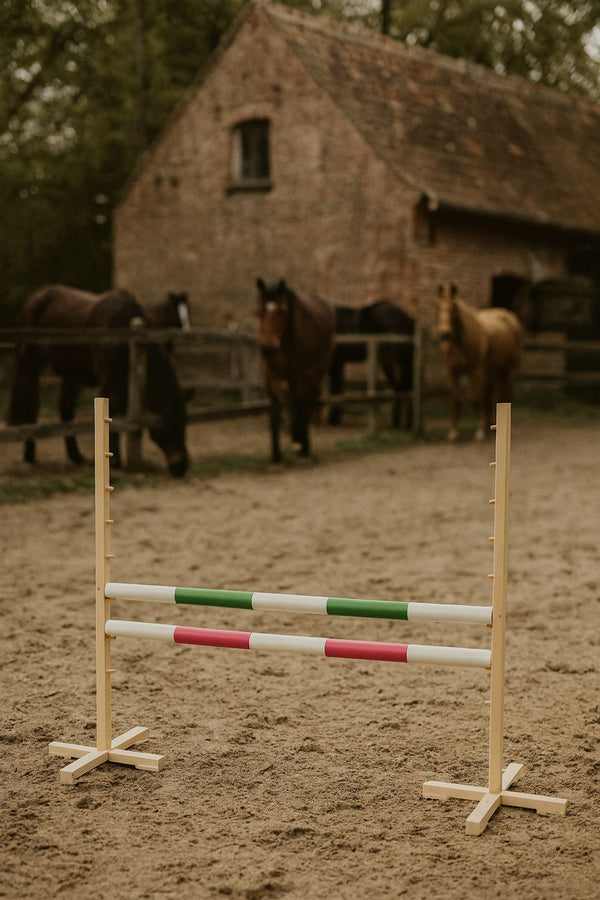 Hobby Horsing Hindernis 120cm mit zwei Stangen - Grün und Pink