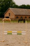 Steckenpferd Hindernis 120cm mit zwei Stangen - Gelb und grün