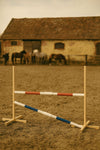Steckenpferd-Hindernis 160cm mit zwei Stangen - Rot und blau