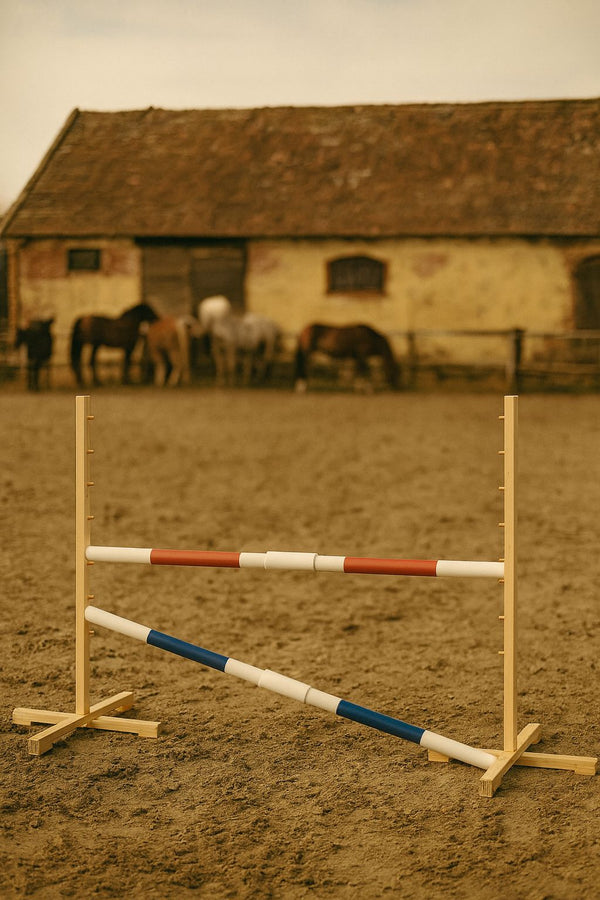 Steckenpferd-Hindernis 160cm mit zwei Stangen - Rot und blau