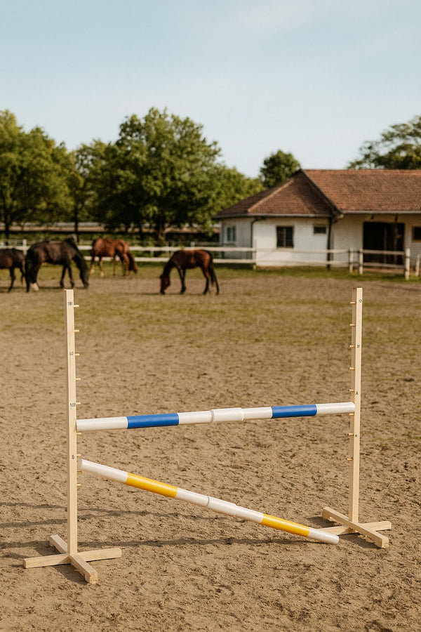 Steckenpferd-Hindernis 160cm mit zwei Stangen - Blue