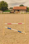 Steckenpferd Hindernis 160cm mit zwei Stangen - Pink und Blau
