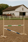 Steckenpferd Hindernis 160cm mit zwei Stangen - Grün und Blau