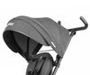 Dreirad mit Schubstange Rito Star Schwarz