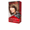 Revlon Mass Market Colorsilk väriaine #50-vaalea tuhka-kastanja 1 kpl | Vuodevaatteet.fi
