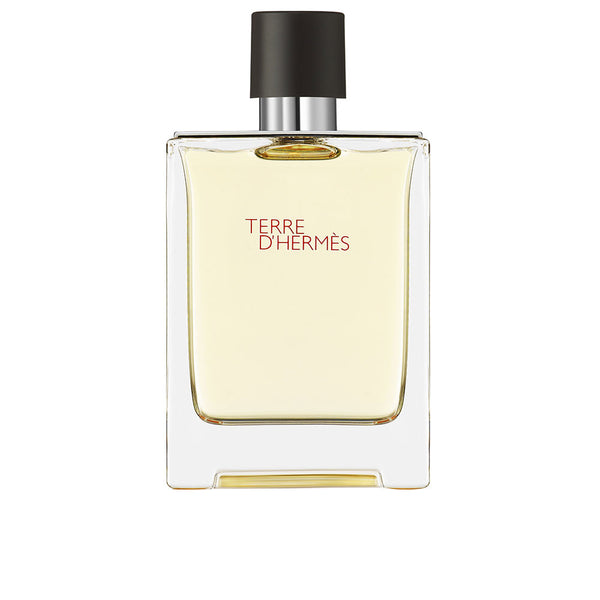Terre D'Hermès Eau De Toilette Spray 100 Ml | Vuodevaatteet.fi
