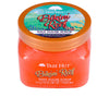 Tree Hut Bikini reef sokerikuorinta 510 g | Vuodevaatteet.fi